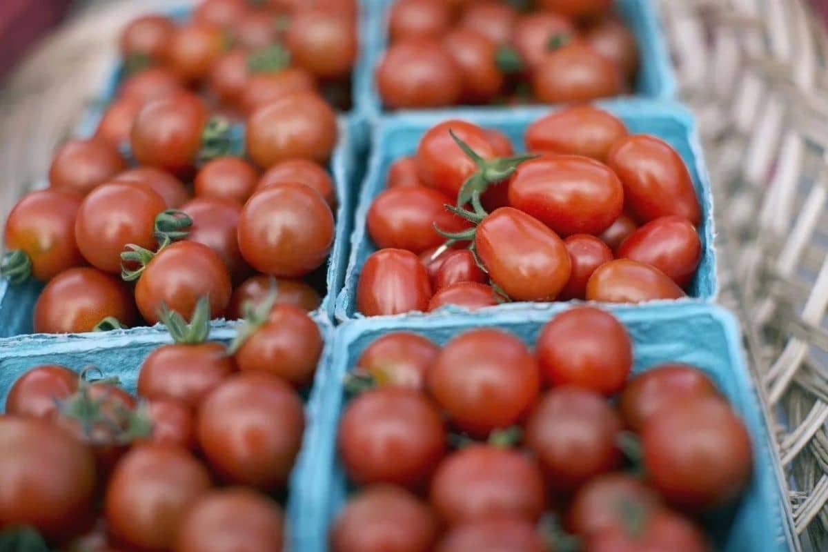 Tomaten